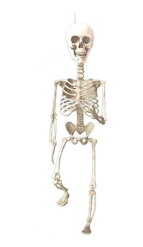 Esqueleto Articulado Entero Calavera Decoracion Halloween 