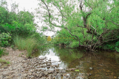 Campo De 86 Has Ganadero, Cuenta Con Tajamar Y Costa De Arroyo. Consulte!!!!!!- Ref: 2366