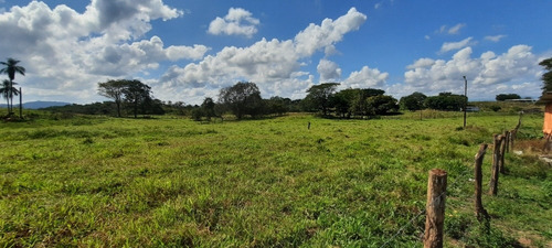 Imagen 12 de 14 de Se Vende Finca 72 Has Orilla De Carretera Manzanita