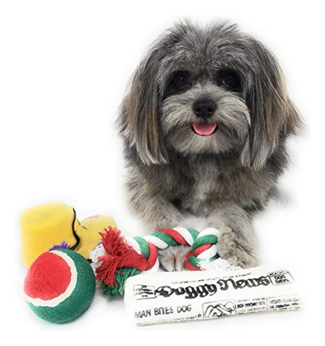 Calcetín Navideño Para Perros. Juguete Para Periódicos O Bot