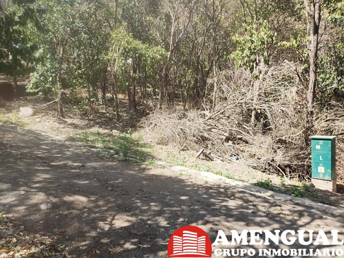 Imagen 3 de 7 de Vendo Lote En Sierra Nueva Mendiolaza