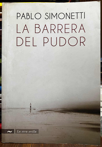 La Barrera Del Pudor - Pablo Simonetti