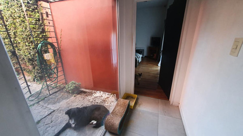 Imagen 14 de 19 de Terreno En Villa Devoto. Usab 2. 1700m2 Vendibles.