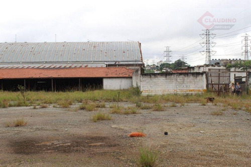Imagem 7 de 10 de Terreno Para Alugar, 20000 M² Por R$ 110.000,00/mês - Jardim Aricanduva - São Paulo/sp - Te0317