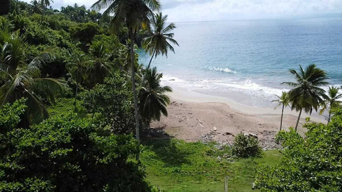 Venta Terreno En Primera Linea De Playa En Samaná Republica Dominicana