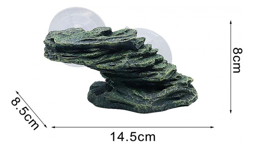 Muelle Para Reptiles, Piedra Para Terraza De , Repisa Para