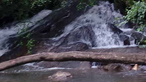 Chácara Em Mairiporã - Excelente Oportunidade