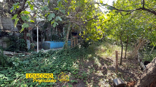 Imagen 27 de 30 de Casa 4amb Garaje Fondo -murguiondo Al 4600 - Loiacono Propiedades