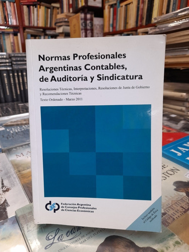 Normas Profesionales Argentinas Contables Auditoría Sindicat