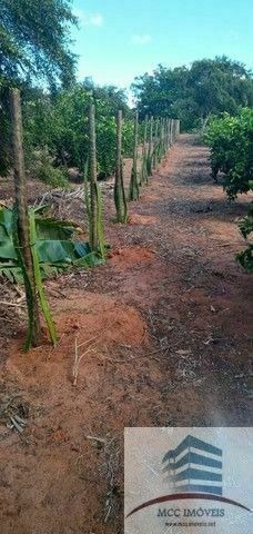 Imagem 8 de 19 de Granja E Empresa De Agronegócio A Venda, Pureza