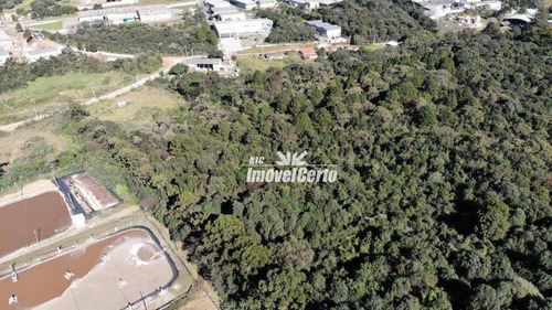 Imagem 19 de 21 de Área À Venda, 6500 M² Por R$ 3.575.000,00 - Cidade Industrial - Curitiba/pr - Ar0003