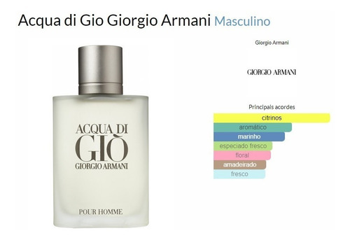 Perfume Acqua Di Giò Giorgio Armani Edt Masculino 100ml
