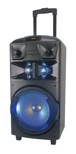 Imagen 1 de 5 de Parlante Stromberg Dj-4004 120w Rms 220v