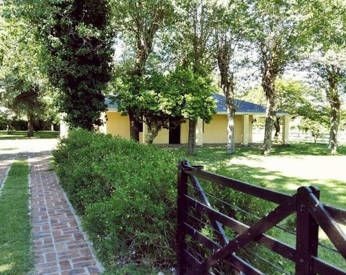 Imagen 15 de 22 de Galpón En Venta Cañuelas