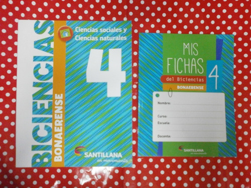 Biciencias 4 Bonaerense Santillana En Movimiento Como Nuevo! (Usado)