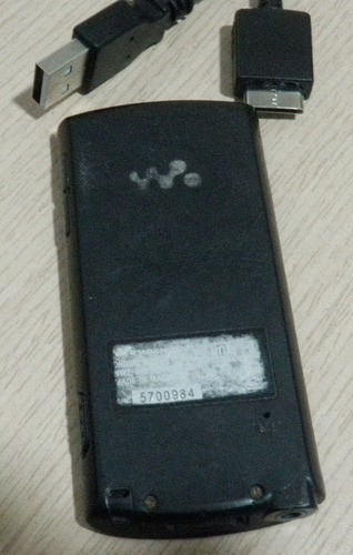 Sony Walkman Nw-e393 Radio, Color Negro, Para Piezas. (Usado)