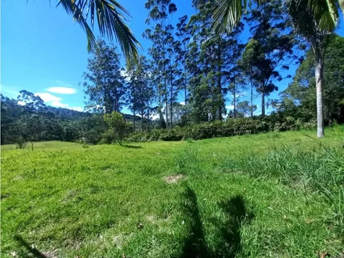 Lote Para Arriendo Via Don Diego Llanorande Perfecto Para Comercio