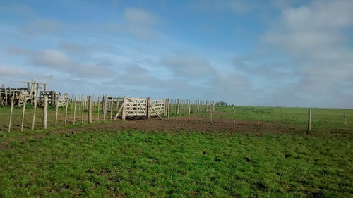 Campo Ganadero Gral. Lavalle