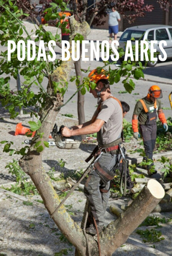 Imagen 5 de 5 de Poda De Arboles Servicio Poda Tala Extracción Y Desmonte