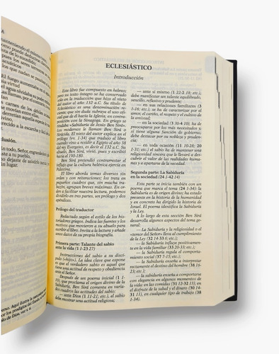 Imagen 4 de 9 de Biblia Catolica Jerusalen Bolsillo Pasta Dura De Lujo