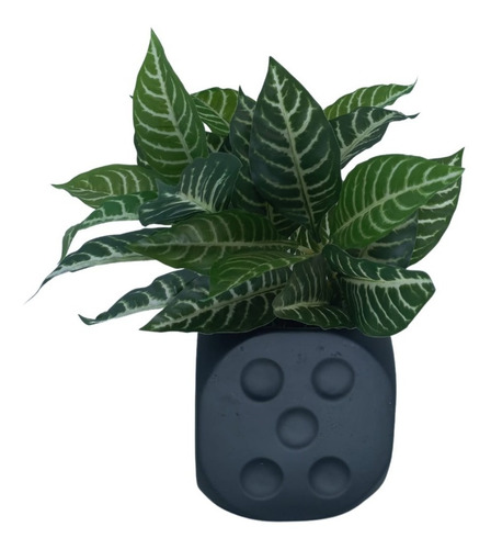 Imagem 4 de 4 de Cachepot Cimento Preto Vaso Médio Decoração Dado Jardim