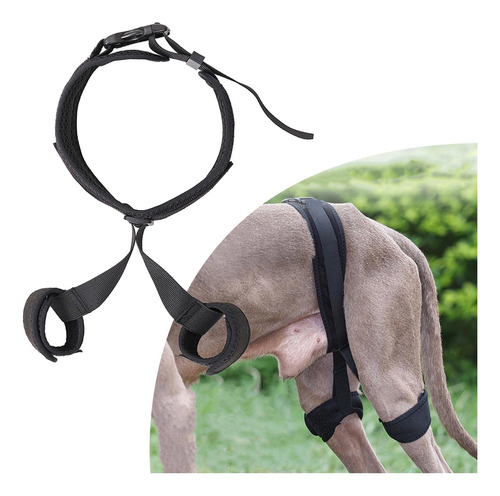 Soporte De Cadera Para Perro Para Patas Traseras Soporte S