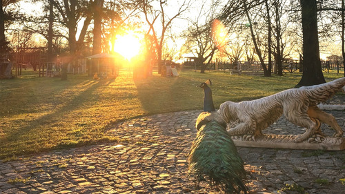 Hotel Pet Friendly Estancia Don Pedro