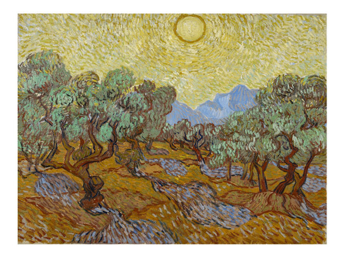 Árboles De Olivo - Vincent Van Gogh - Poster 100x75 Cm.