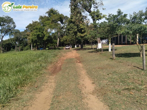 Imagem 13 de 15 de Fazenda Em Breu Branco - Pa - 2.584,56 Hectares (dupla Aptidão) - 2158