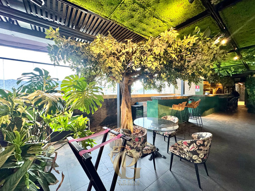 Exclusivo Rooftop Para Resto Bar En La Dehesa Premium