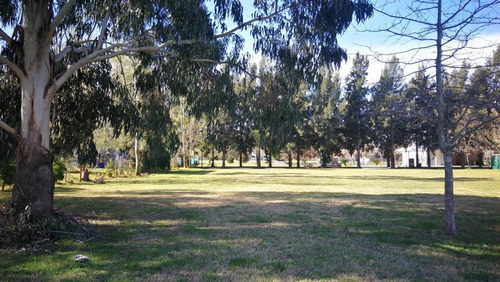 Imagen 13 de 14 de Ruta 2 - Miralagos 2 - Lago Barrancas