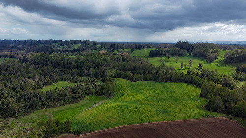 Campo En La Unión Cercano Al Lago Ranco 27,4 Hectáreas