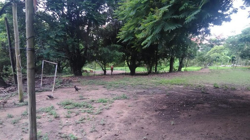 Área No Chácara Cotia - 3641