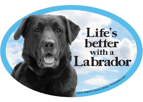 Prismatix Decal Imanes Para Gatos Y Perros, Lab Retriever, N