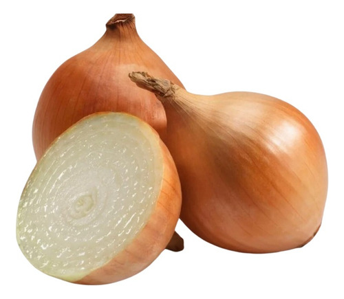 300 Sementes De Cebola Crioula - 1g