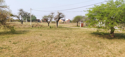 Imagen 4 de 5 de Terreno En Delta De Bucare Monje, Metros Del Rio