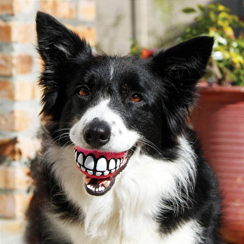 Bola Kong Grinz Sorriso Bolinha Para Cães M 3un Dispenser