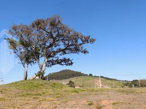 Imagem 8 de 15 de Terreno - Vila Nova - Ref: 231875 - V-231875