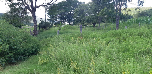 Imagem 11 de 15 de Fazenda Para Venda Em Monjolos, Quebra Pé, 4 Dormitórios, 1 Banheiro - F16_1-1713401