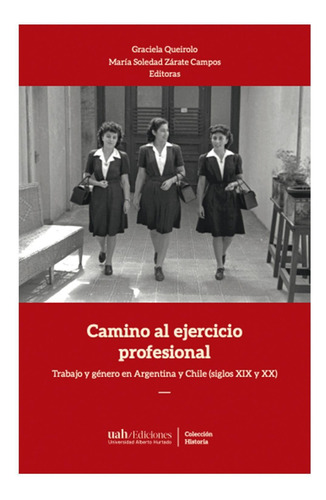 Camino al ejercicio profesional, de Zárate, María Soledad Queirolo, Graciela. Editorial Ediciones Universidad Alberto Hurtado, tapa pasta blanda, edición 1 en español, 2020