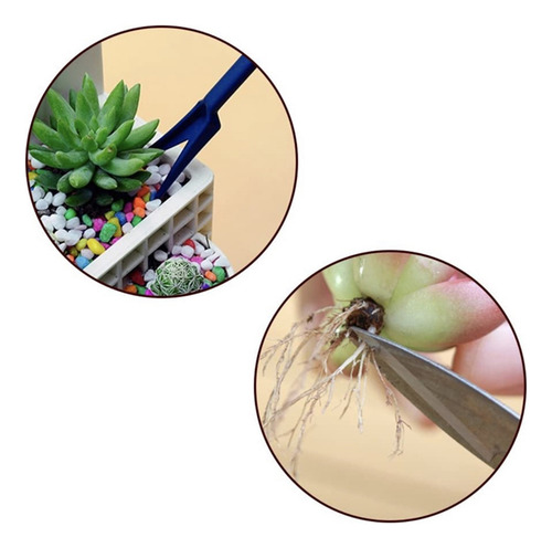 Juego De Herramientas De Plantación Fairy Miniature Transpla