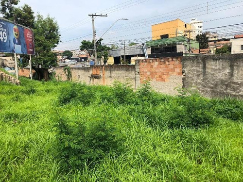 Lote Cachoeirinha - 904