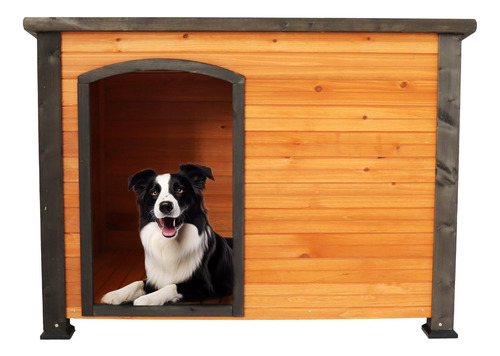 Cuauc Premium 45 Wooden Dog House: Indoor & Outdoor Kennel,.