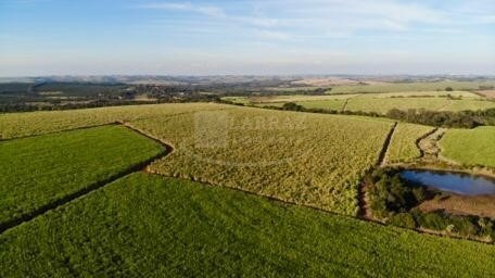 Excelente Fazenda Para Venda Em Itapetininga-sp, Com 244 Alqueires, Formada Em Cana, Frente Para Rodovia Castelo Branco, Rica Em Agua, Rio Nos Fundos - Fa00084 - 69245340