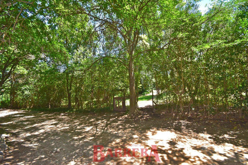 Imagen 4 de 18 de A Mts Av 2 Venados Y Lola Mora 2501 M2 Arbolado Excelente