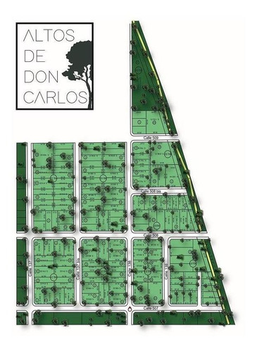Imagen 1 de 4 de Lote En Venta. Don Carlos 1