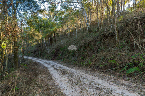 Imagem 20 de 30 de Chácara - Residencial - 936672