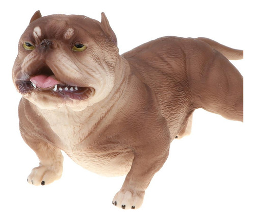 Pitbull Modelo