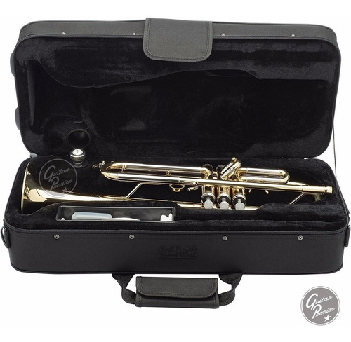 Imagen 6 de 10 de Trompeta Sib Dorada + Estuche + Boquilla + Garantia + Envio