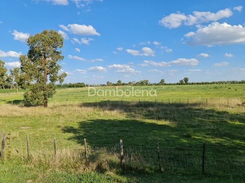 Imagen 20 de 30 de Terreno Fraccion En Venta O Permuta Ubicado En Mercedes, Resto De La Provincia